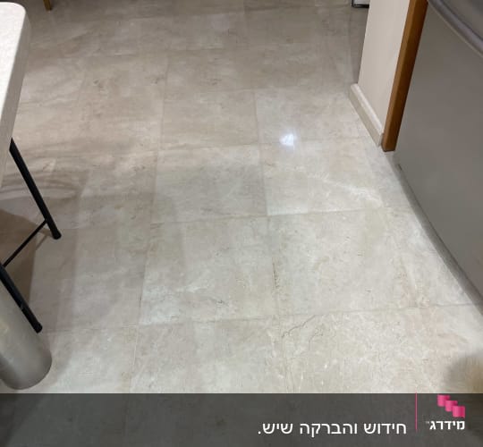 סלון 2
